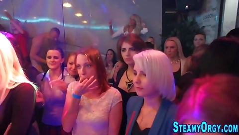 Amateur blonde with large tits sucks dick on the bed